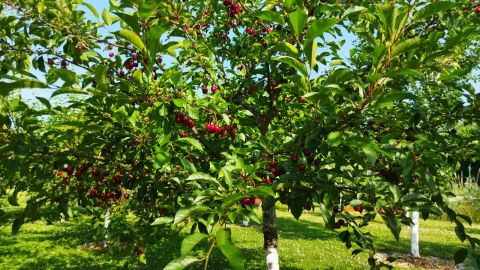 img_20230630_083204_1