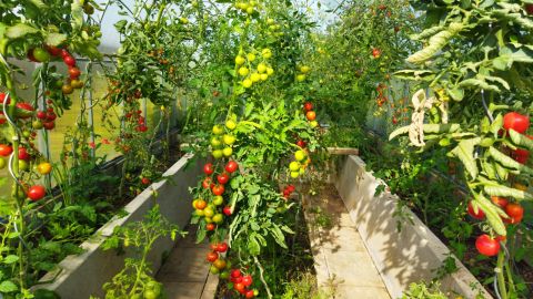 img_20230630_083500_1