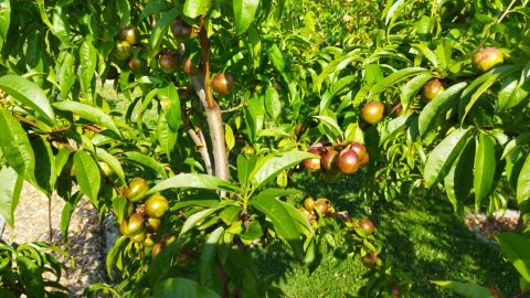 img_20230630_083321_1